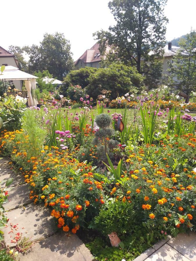 Ferienwohnungen Wilhelm Bad Schandau Bagian luar foto