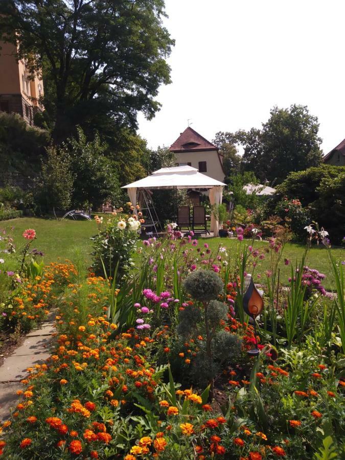 Ferienwohnungen Wilhelm Bad Schandau Bagian luar foto